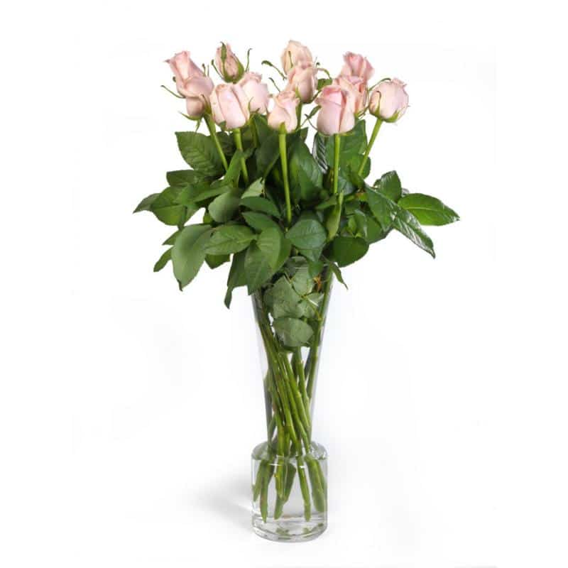 Bouquet de roses roses