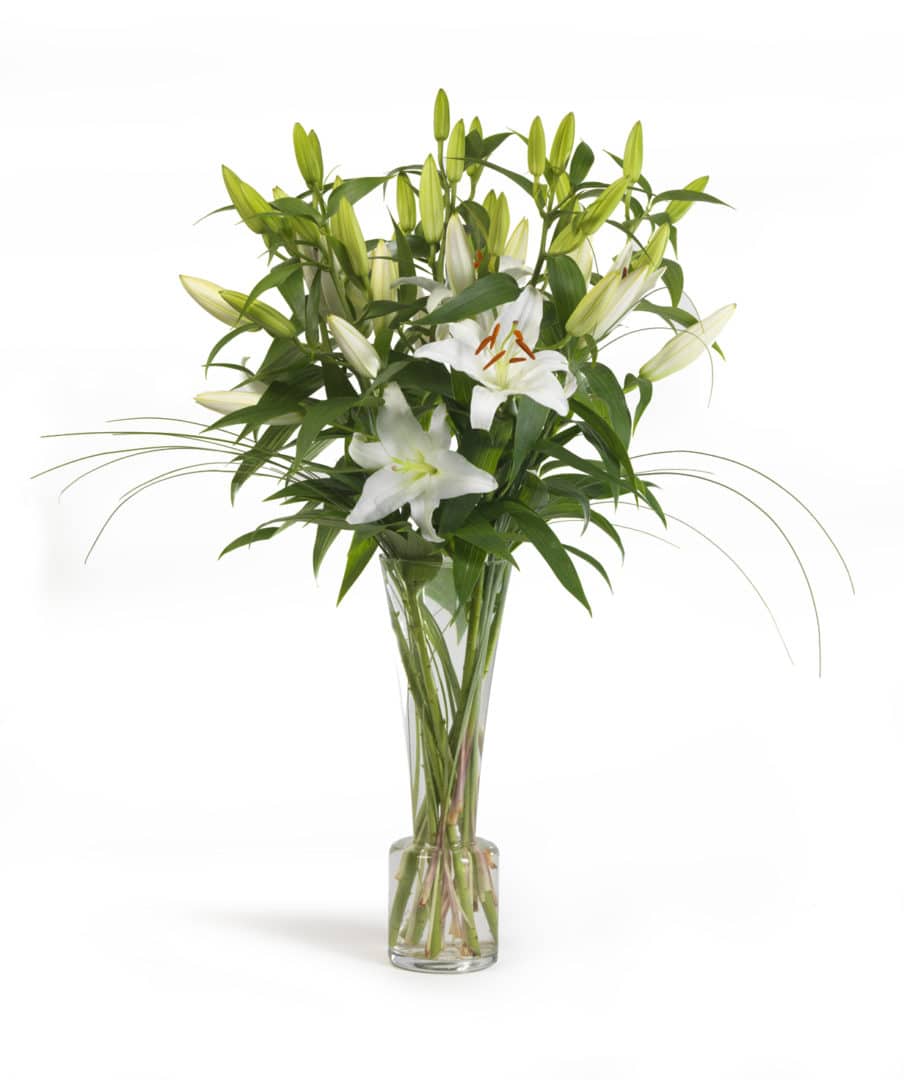 Beau bouquet de lys blanc - Maison Le Cuff Suignard