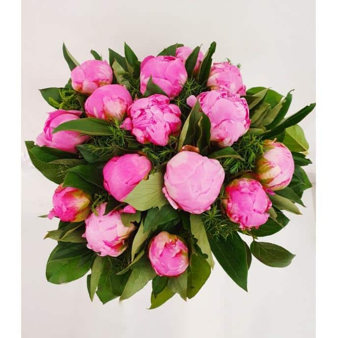 Bouquet de pivoines