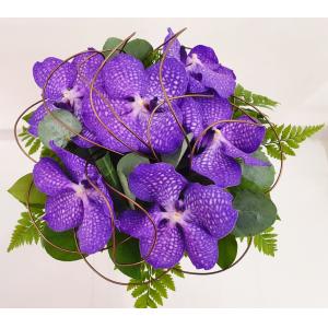 Bouquet de vandas mauves