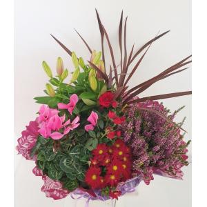 Coupe de plantes